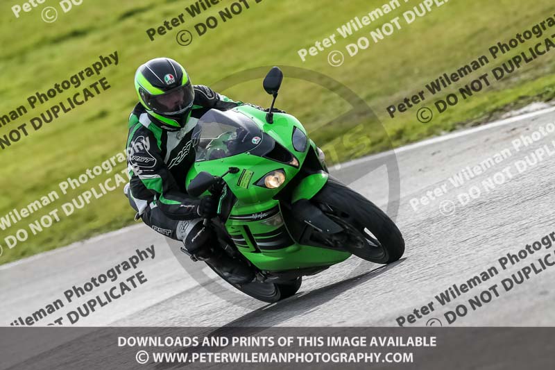 PJ Motorsport 2019;anglesey no limits trackday;anglesey photographs;anglesey trackday photographs;enduro digital images;event digital images;eventdigitalimages;no limits trackdays;peter wileman photography;racing digital images;trac mon;trackday digital images;trackday photos;ty croes